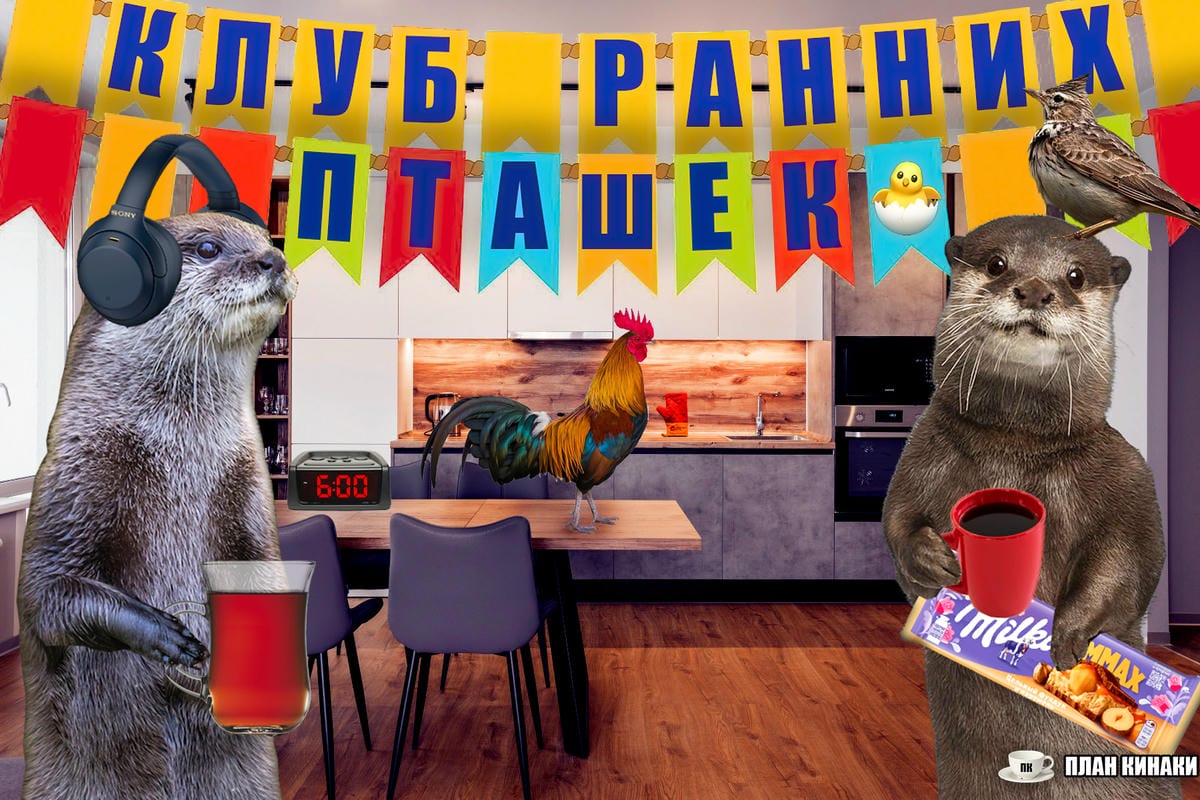 План Кинаки - мемы про выдр и других животных