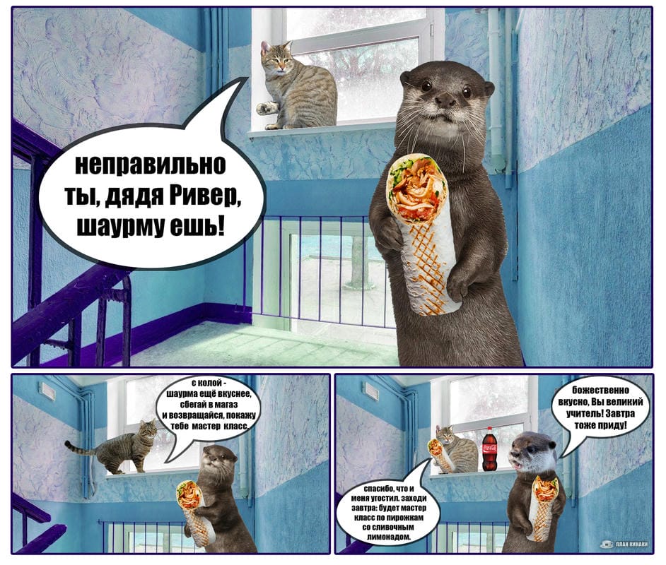 План Кинаки - мемы про выдр и других животных