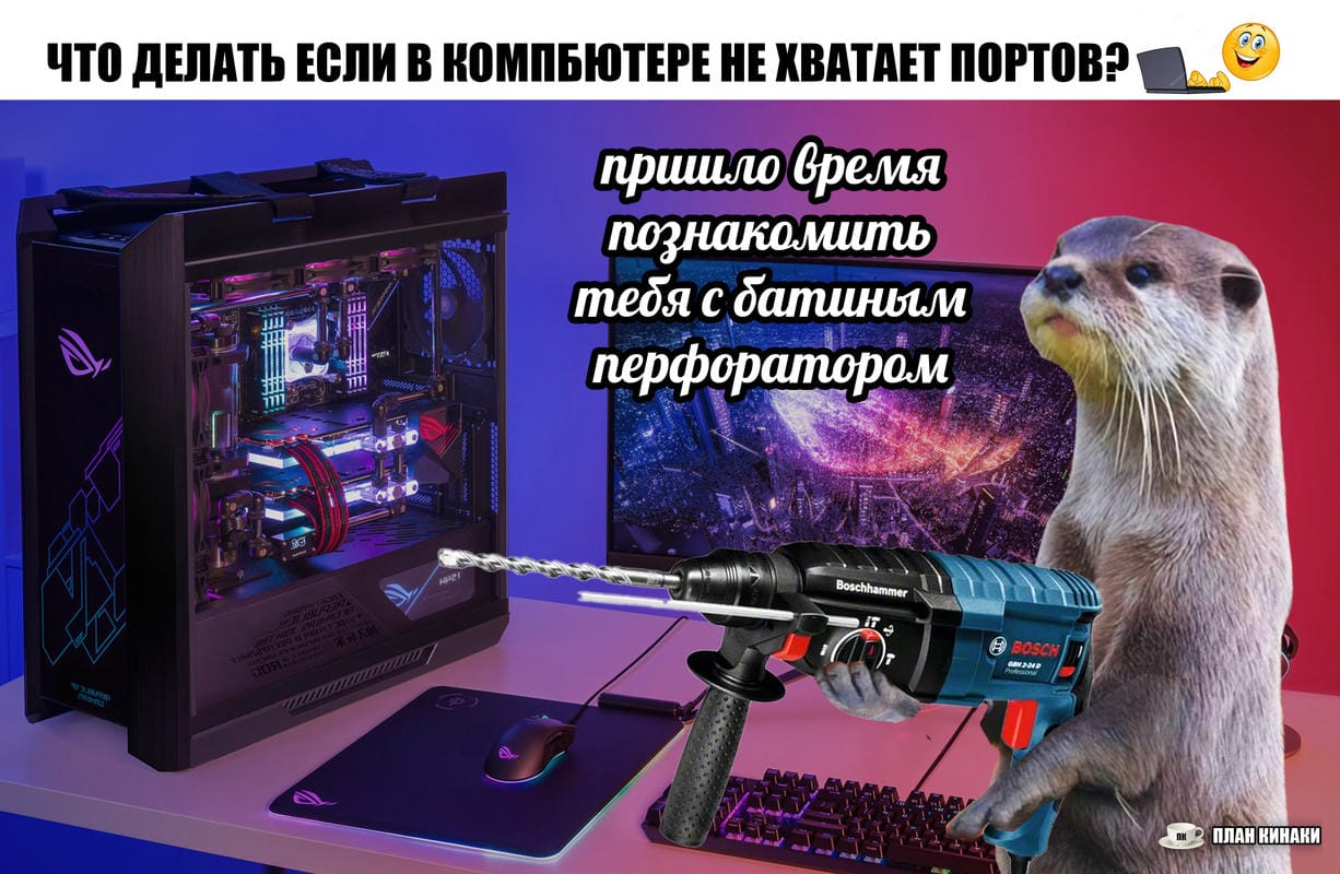 План Кинаки - мемы про выдр и других животных