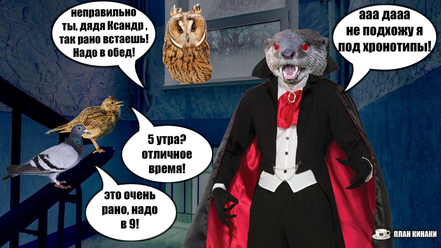 План Кинаки - мемы про выдр и других животных