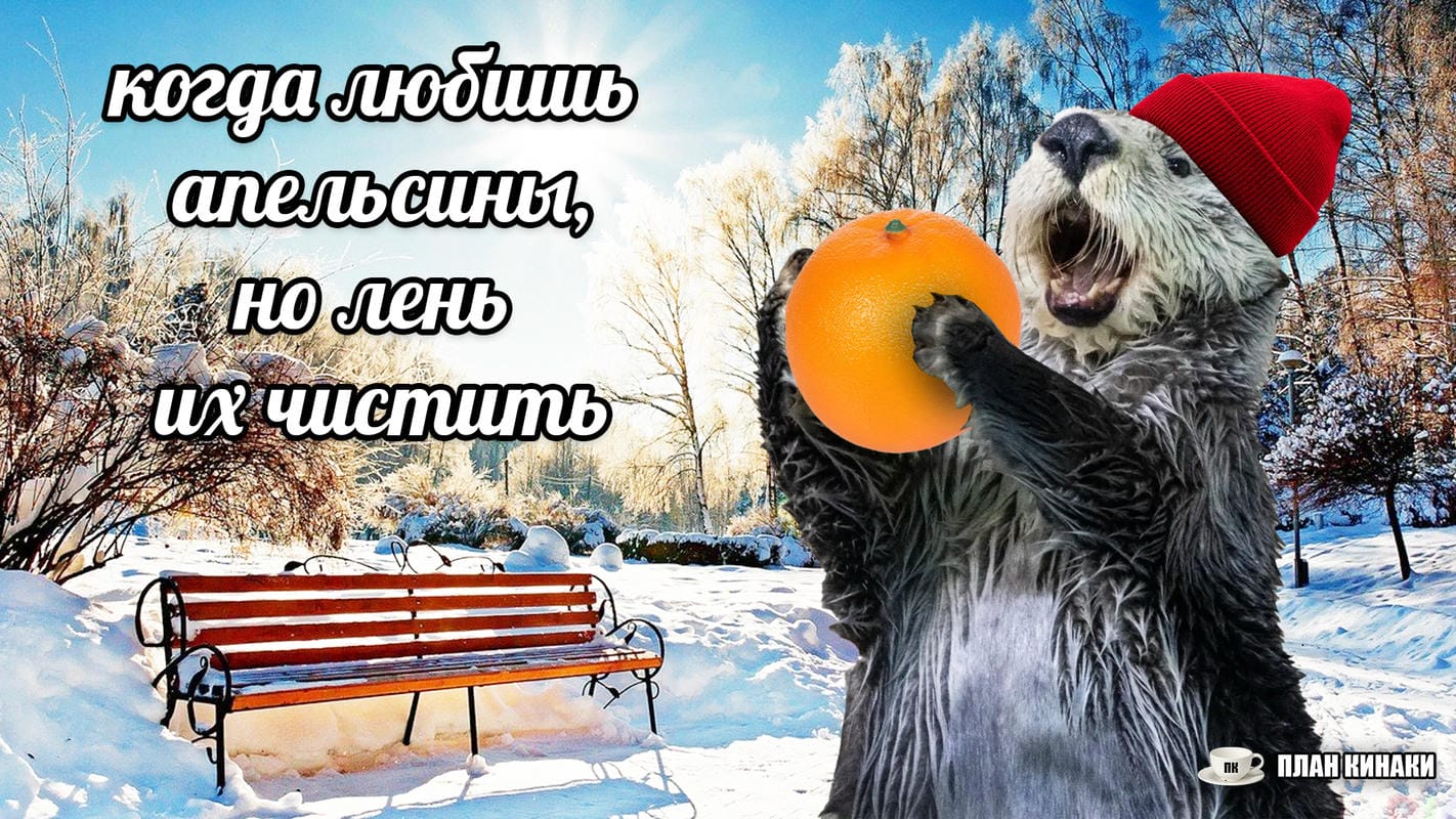 План Кинаки - мемы про выдр и других животных