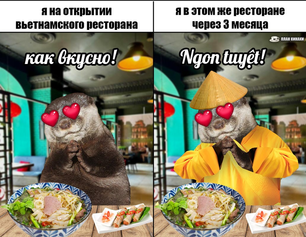 План Кинаки - мемы про выдр и других животных