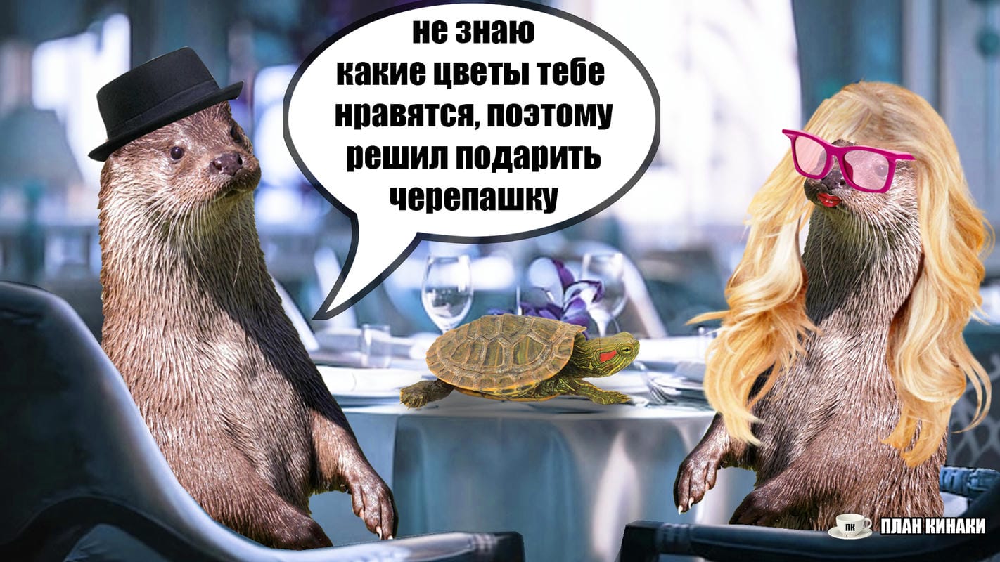План Кинаки - мемы про выдр и других животных