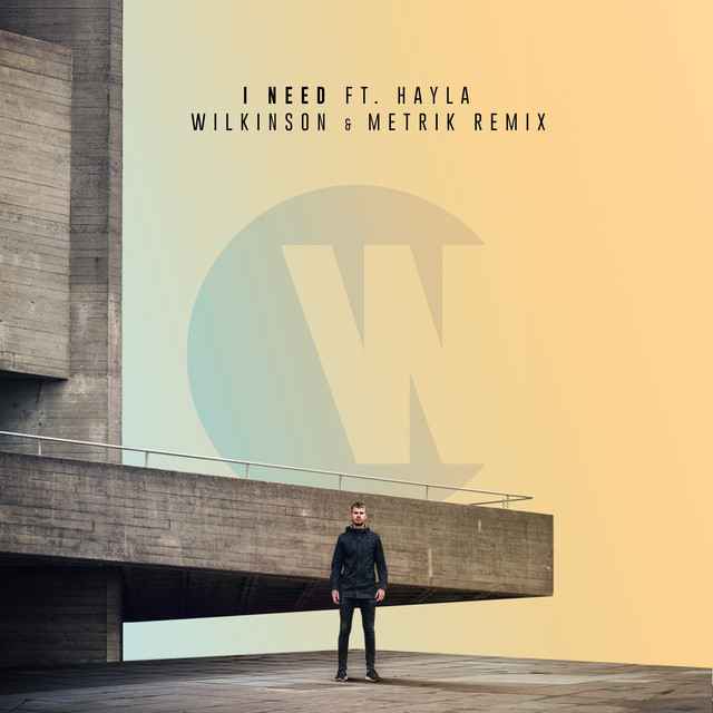 Wilkinson - I Need (feat. Hayla)(Wilkinson & Metrik Remix)(2018)